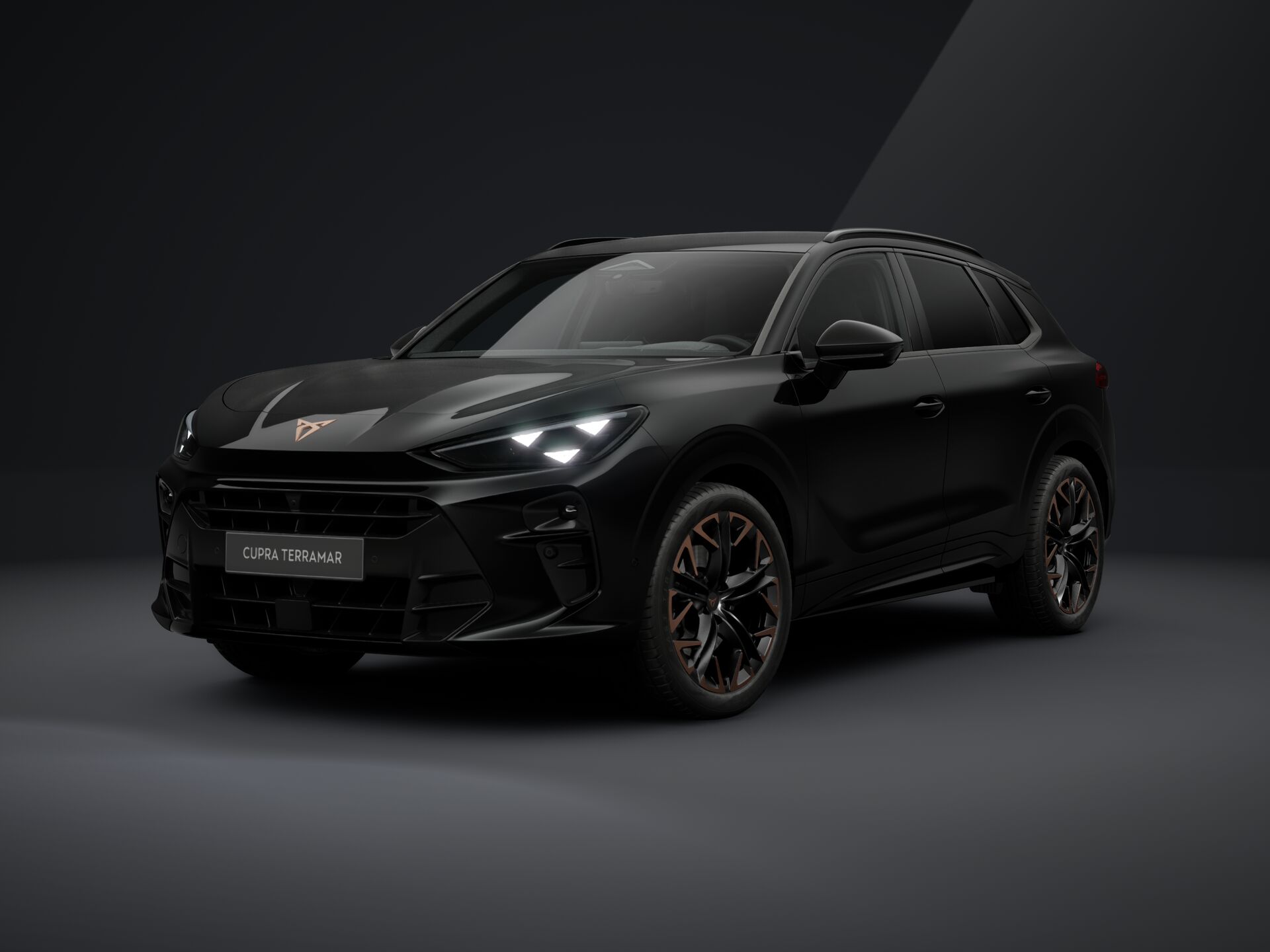 CUPRA Terramar 2,0 TSI 204 4D 7DSG