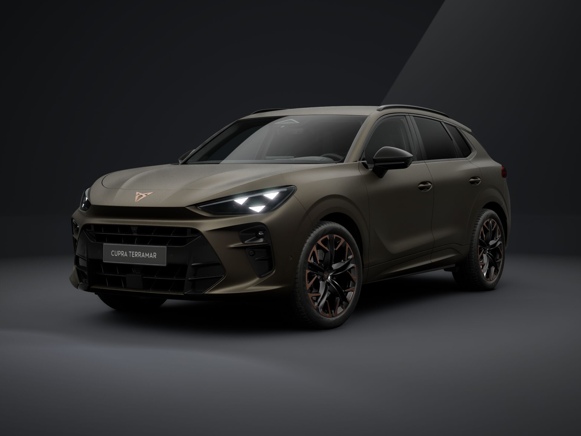 CUPRA Terramar 2,0 TSI 204 4D 7DSG