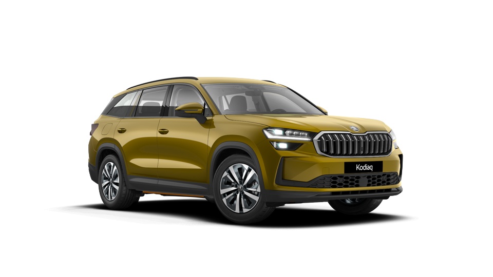 Škoda Kodiaq Selection 2.0 TDI 110,00 kW 7-stup. automat.